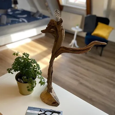 Apartamento Schneider *