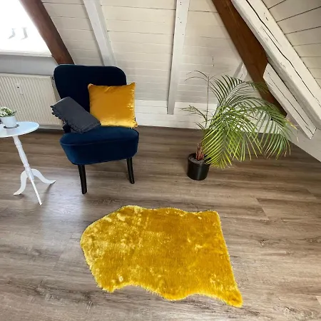 Schneider Friedrichshafen