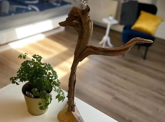 Apartamento Schneider *