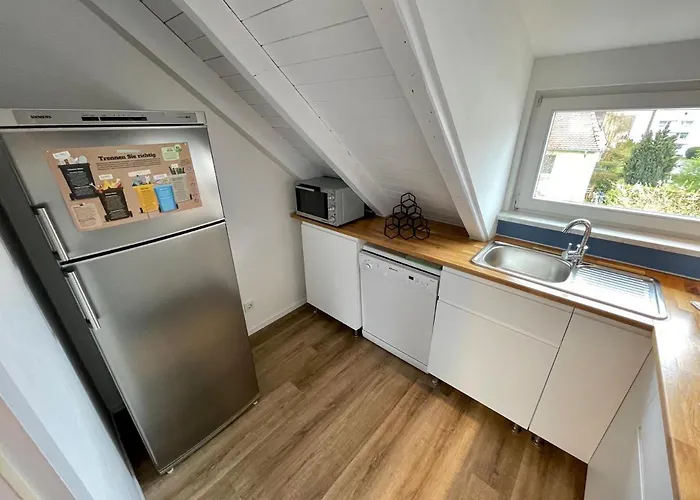 Schneider Friedrichshafen