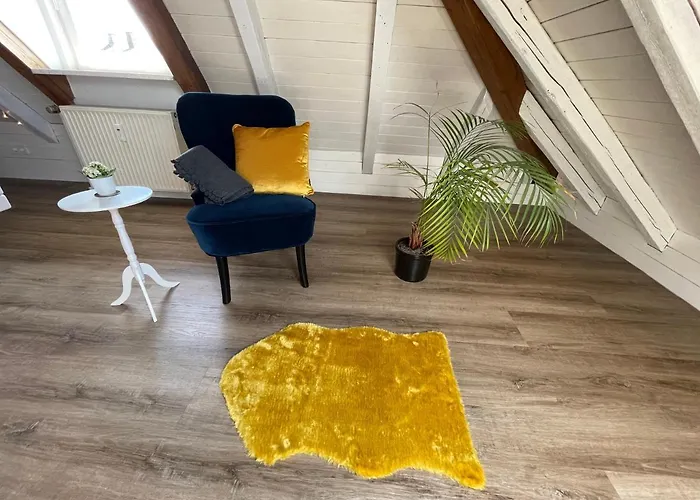 Schneider Friedrichshafen